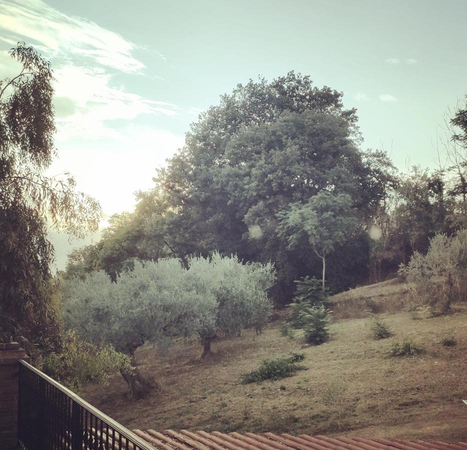 Casale Del Sole Panzió Cepagatti Kültér fotó