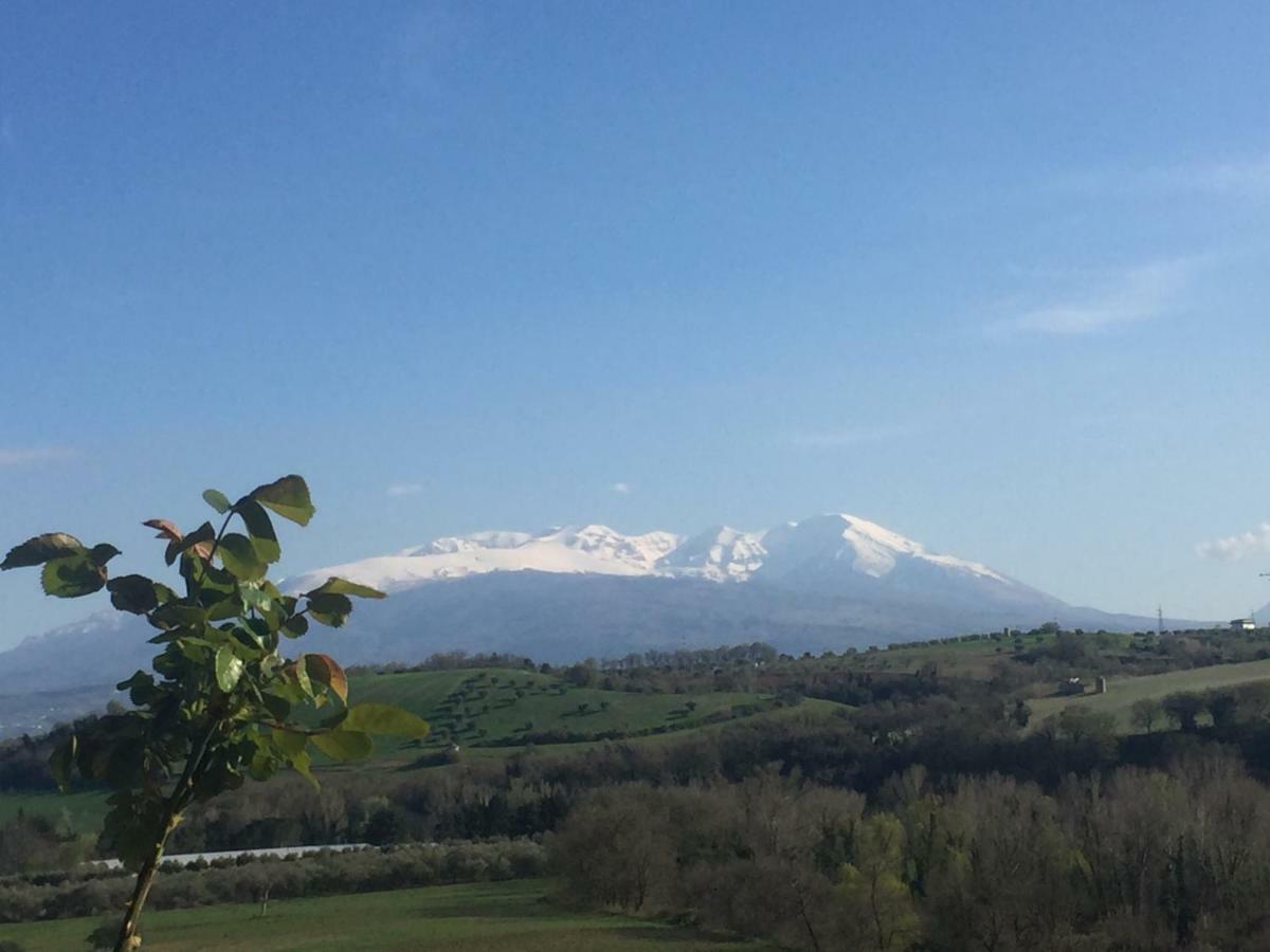 Casale Del Sole Panzió Cepagatti Kültér fotó